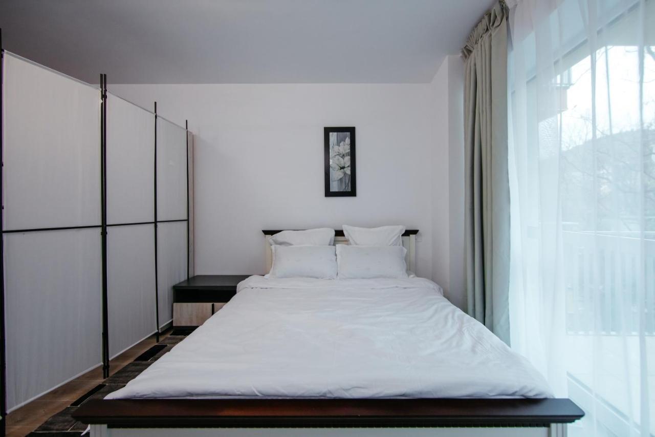 Apartamento L&V Family Studio Sinaia Exterior foto